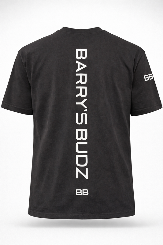 BB ORBIT TEE